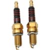 Harley Spark Plugs