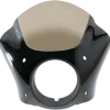Memphis Shades Gauntlet Fairing